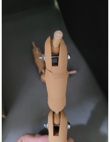Brazos Articulados 3D