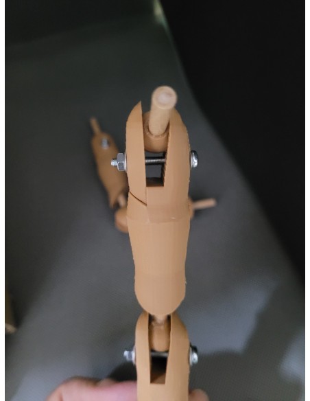 Brazos Articulados 3D